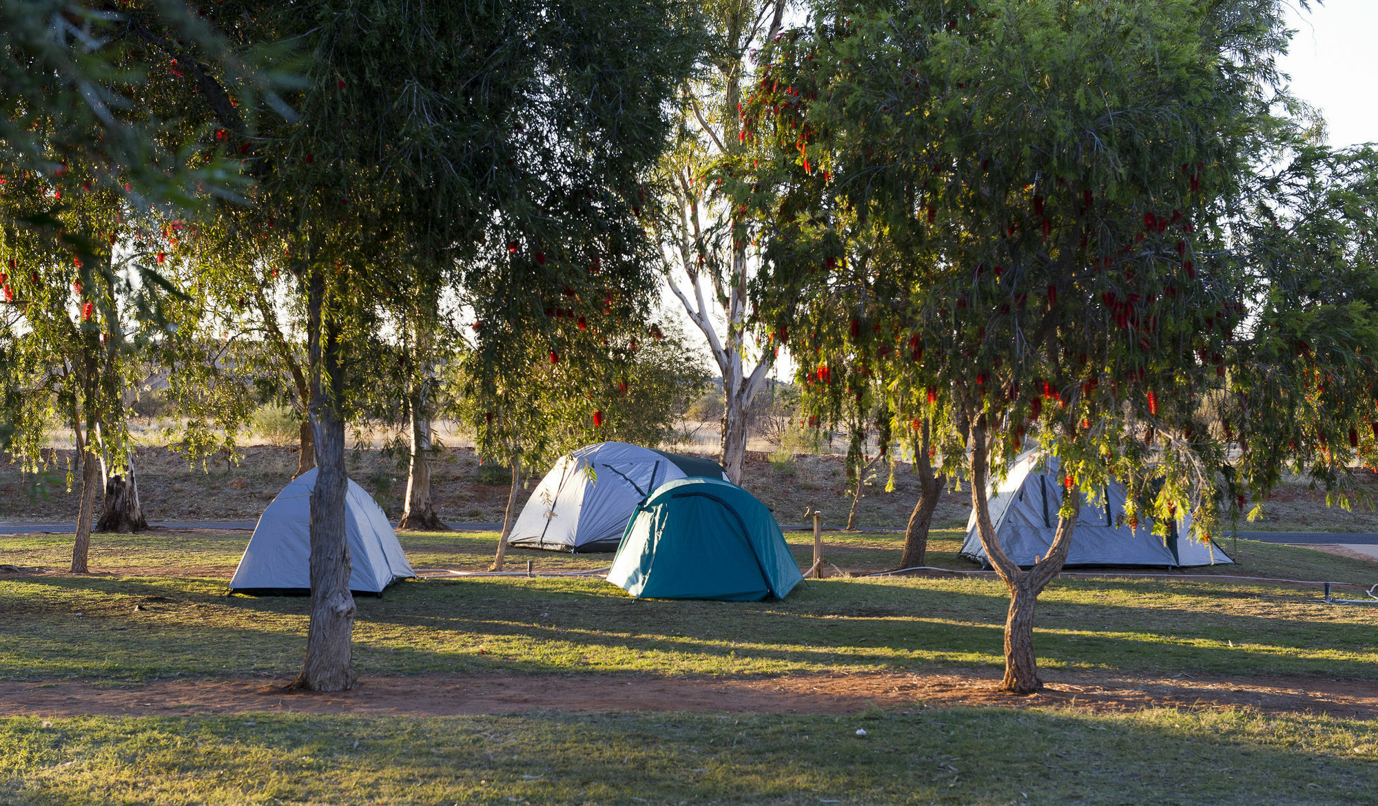 Discovery Parks - Alice Springs Exterior photo